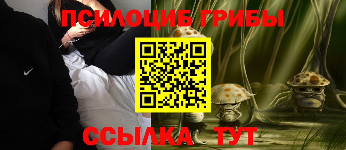 Галлюциногенные грибы Psilocybe  Вход с VPN  Кизляр  наркотики  Галлюциногенные грибы Cubensis 