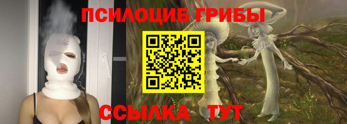 Галлюциногенные грибы Cubensis Кизляр